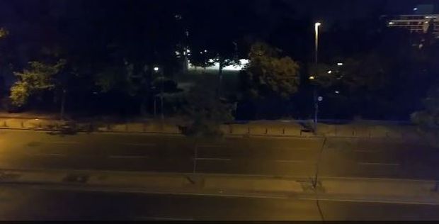 ПОГЛЕДАЈТЕ: Жесток окршај војске и полиције 